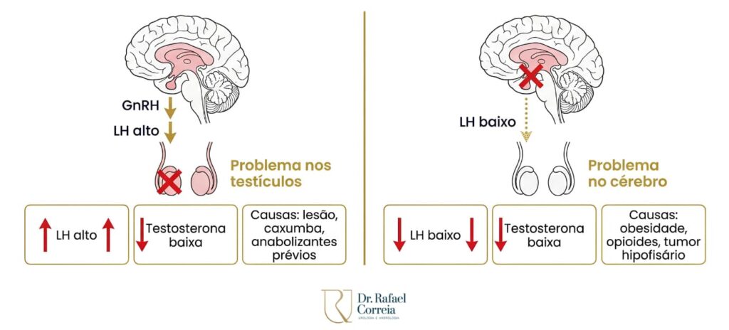 Dr. Rafael Correia urologista em Brasília explicando reposição hormonal masculina ao paciente em consulta